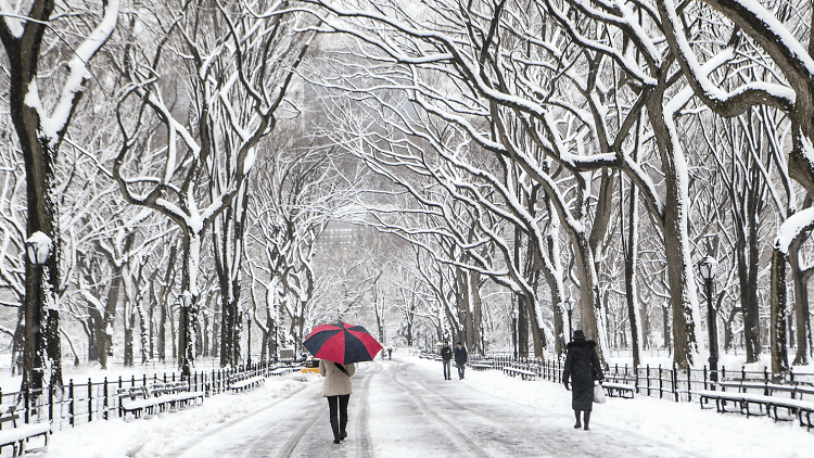 Warm Activities To Do In NYC